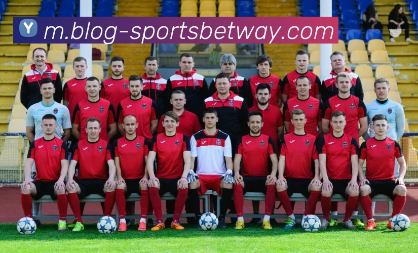 必威体育服务体系